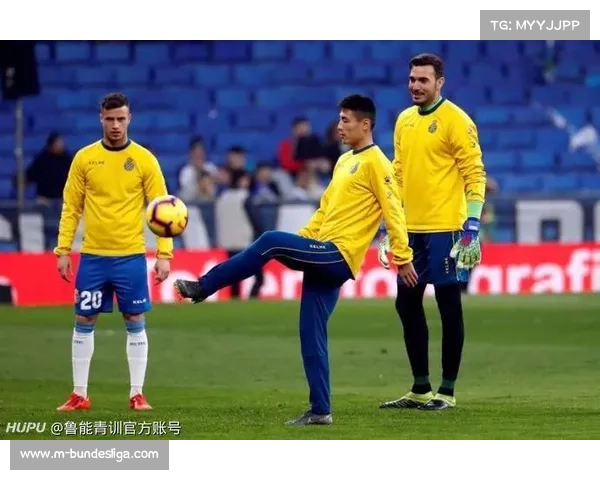 足球博彩广告受限,赞助商创新推广策略应对挑战